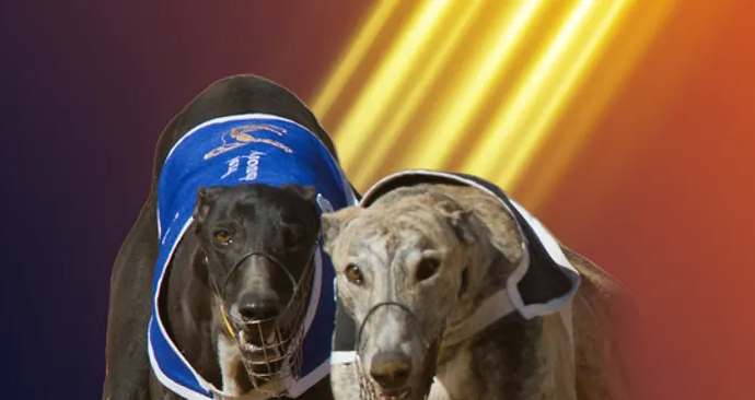 William Hill