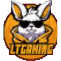 LT Gaming