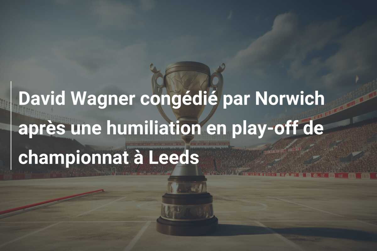 David Wagner congédié par Norwich après une humiliation en play-off de championnat à Leeds