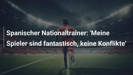 Spanischer Nationaltrainer: 'Meine Spieler sind fantastisch, keine Konflikte'