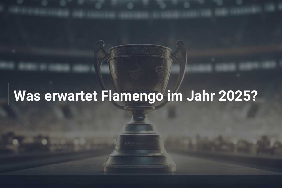 Was erwartet Flamengo im Jahr 2025?