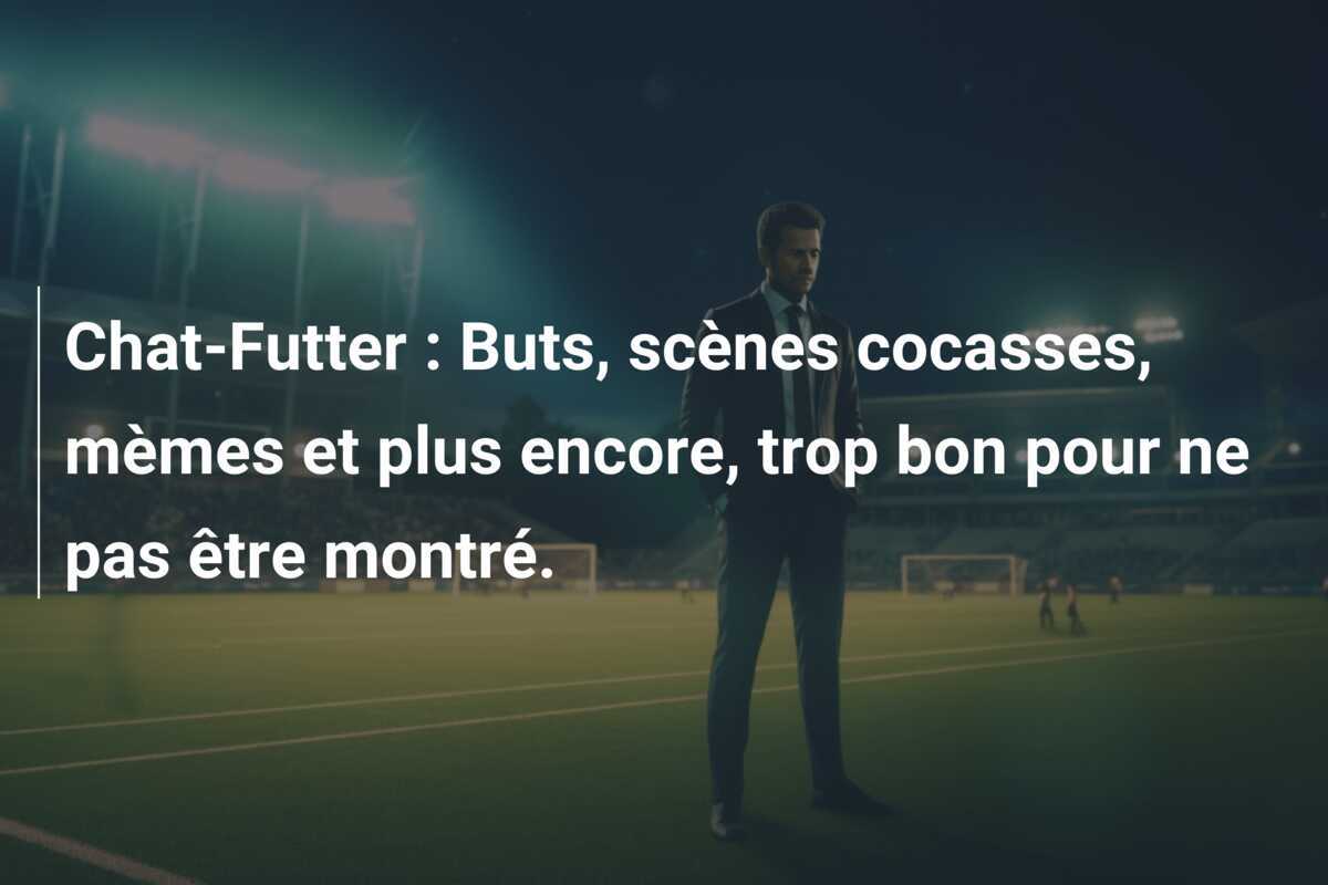 Chat-Futter : Buts, scènes cocasses, mèmes et plus encore, trop bon pour ne pas être montré.