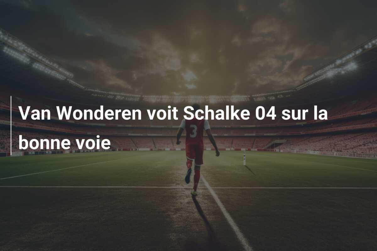 Van Wonderen voit Schalke 04 sur la bonne voie
