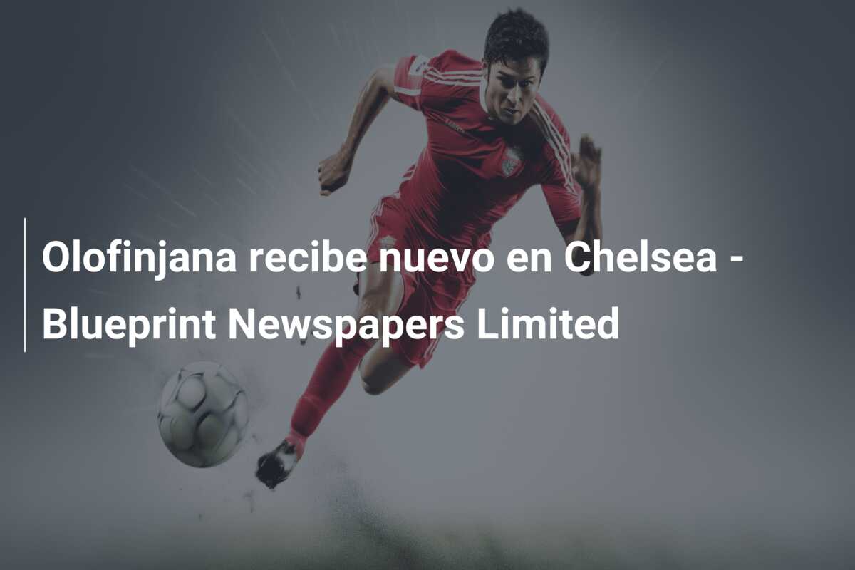 Olofinjana recibe nuevo en Chelsea – Blueprint Newspapers Limited