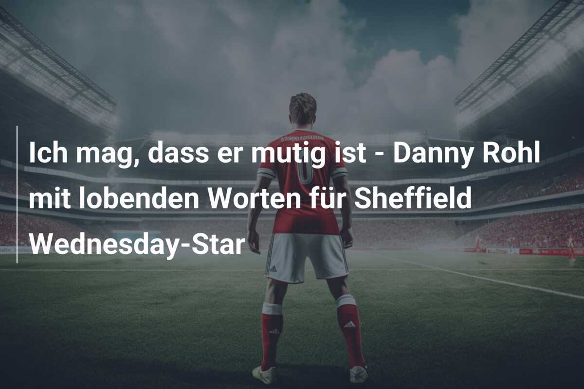Ich mag, dass er mutig ist - Danny Rohl mit lobenden Worten für Sheffield Wednesday-Star