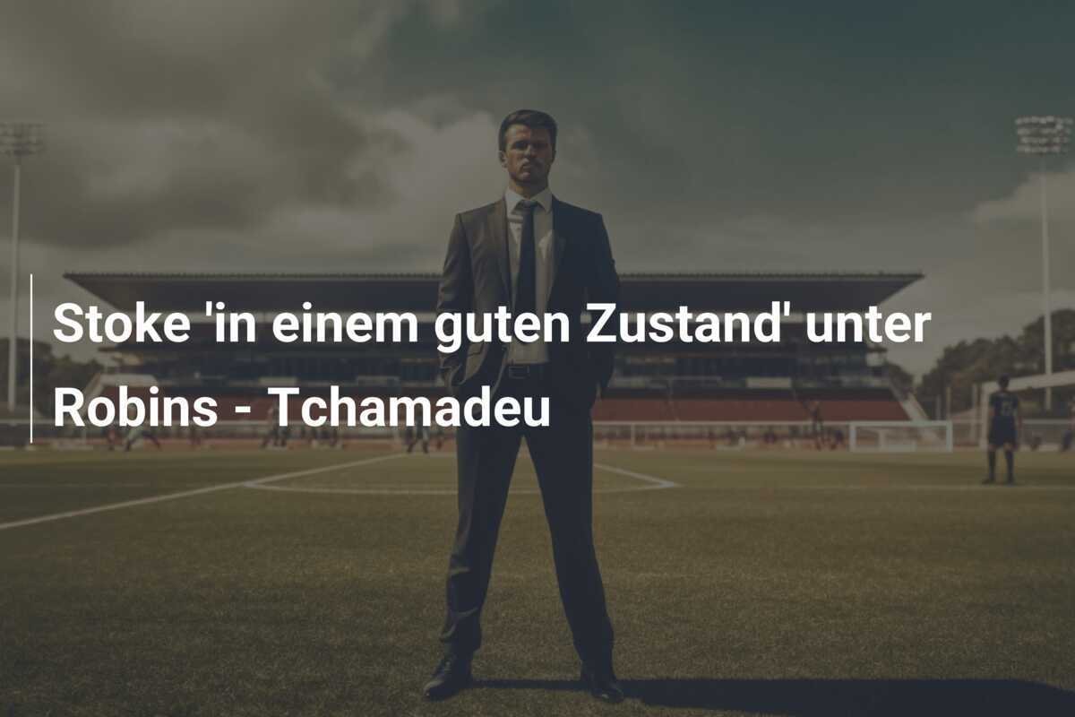 Stoke 'in einem guten Zustand' unter Robins - Tchamadeu