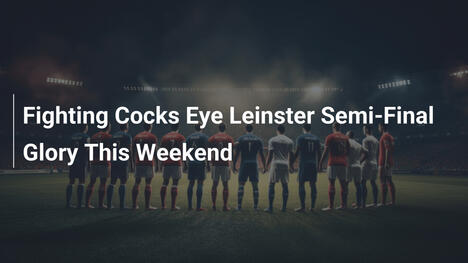 I Fighting Cocks puntano alla gloria nella semifinale del Leinster questo fine settimana
