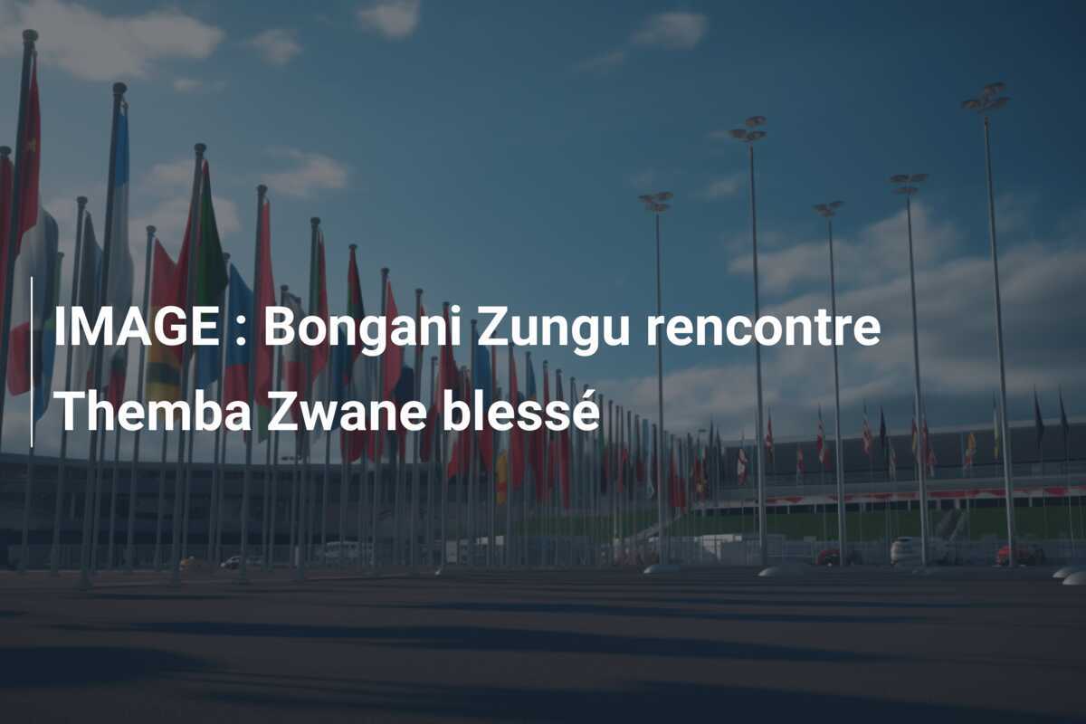 IMAGE : Bongani Zungu rencontre Themba Zwane blessé