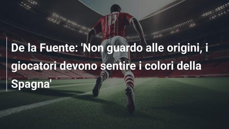 De la Fuente: 'Non guardo alle origini, i giocatori devono sentire i colori della Spagna'