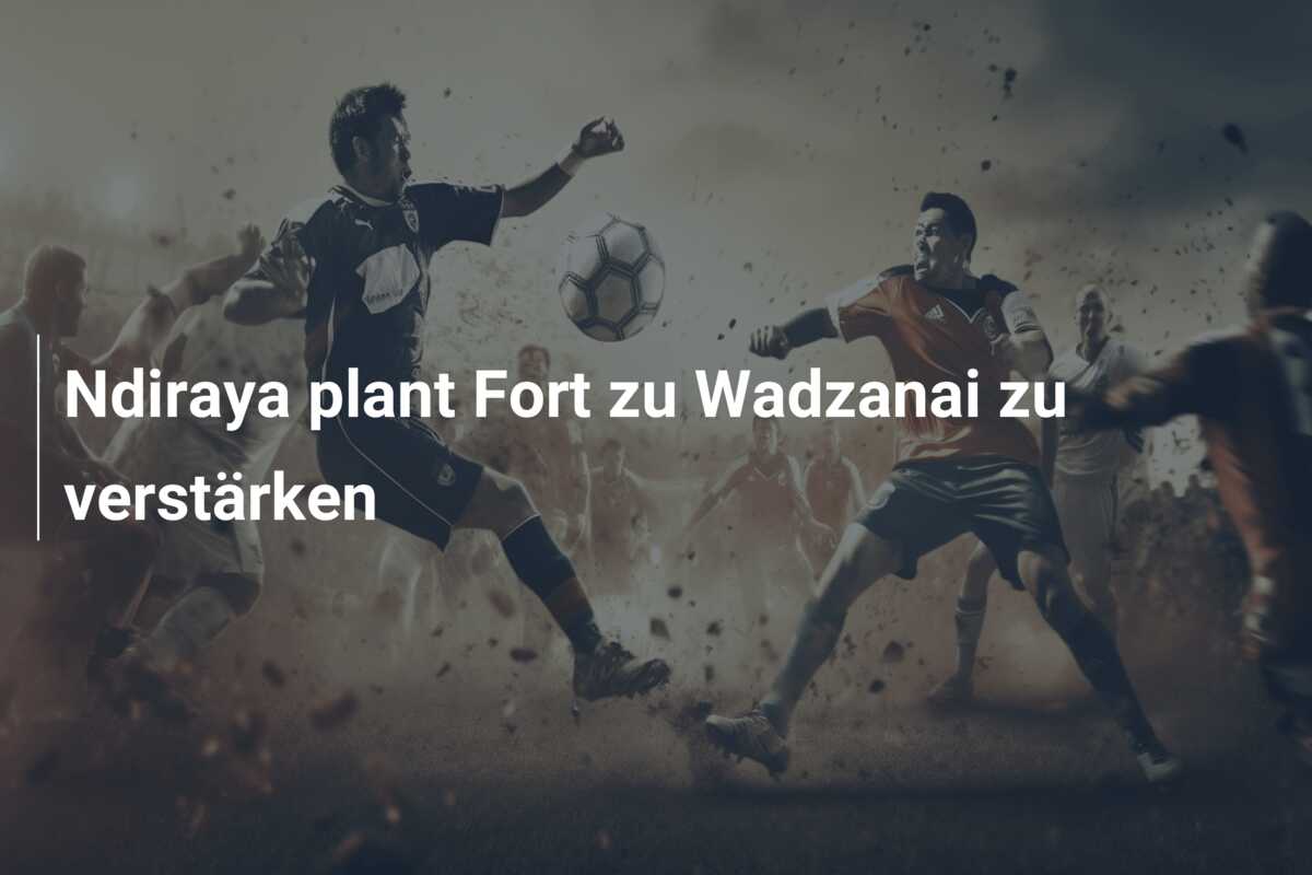 Ndiraya plant Fort zu Wadzanai zu verstärken