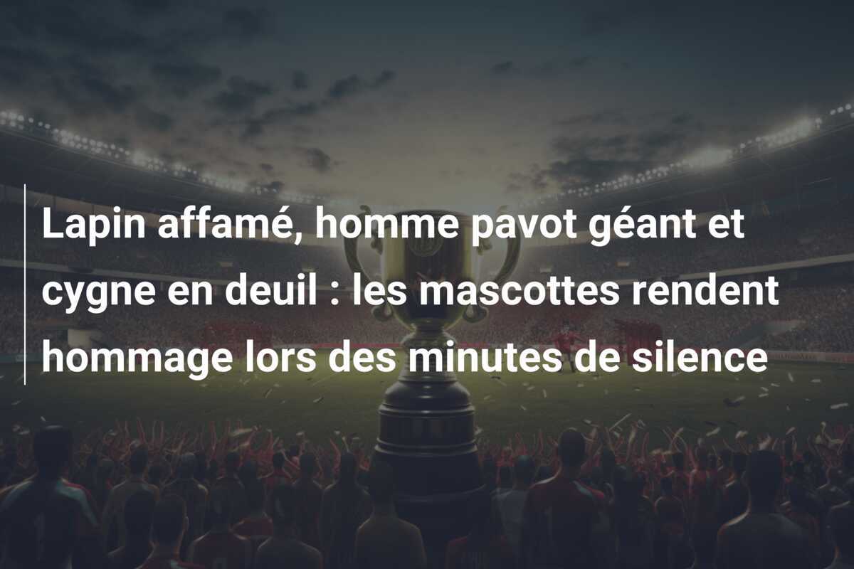 Lapin affamé, homme pavot géant et cygne en deuil : les mascottes rendent hommage lors des minutes de silence