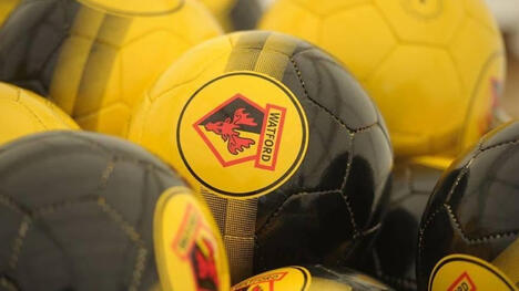 Fratello dell'Ex Allenatore del Southampton al Watford