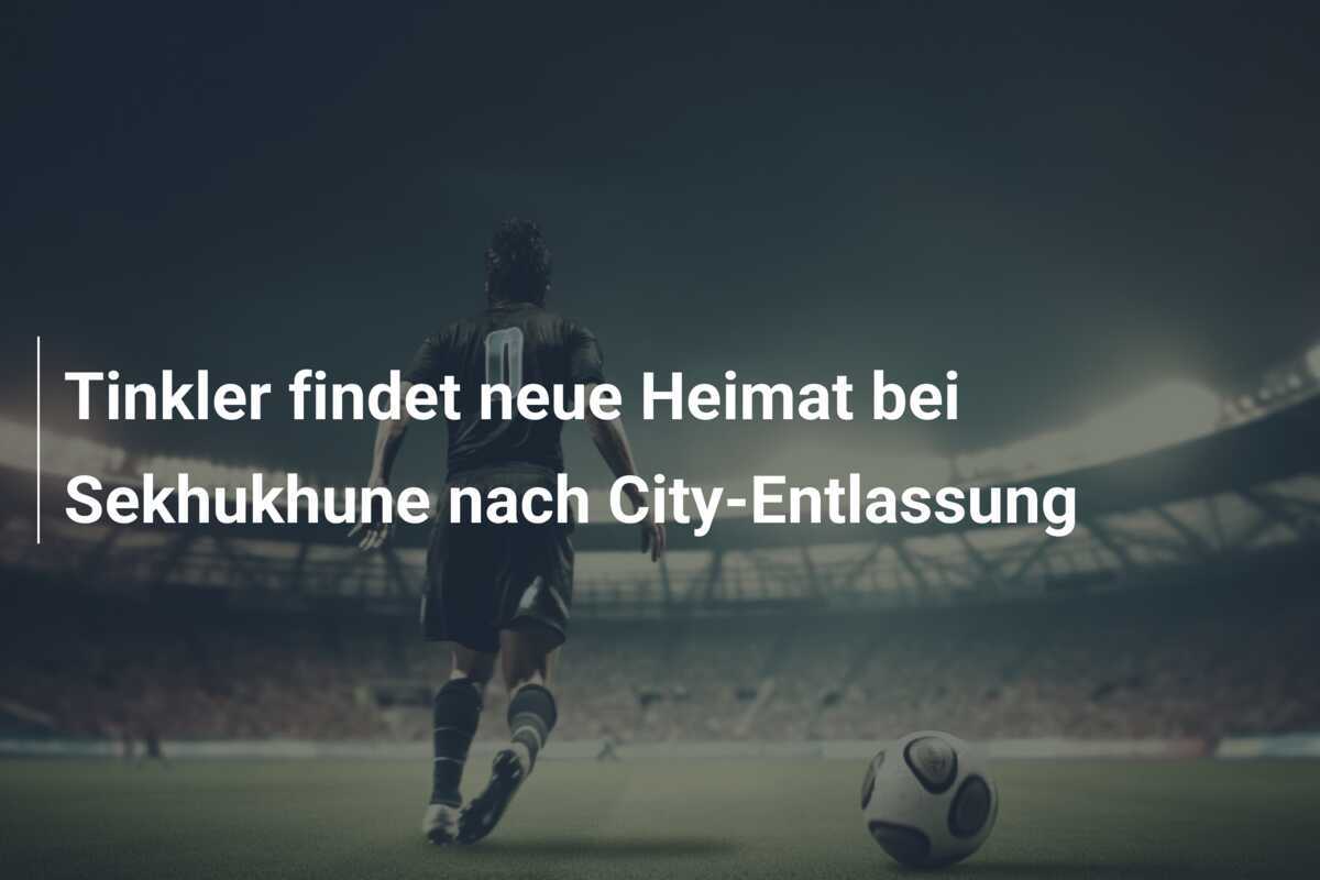 Tinkler findet neue Heimat bei Sekhukhune nach City-Entlassung