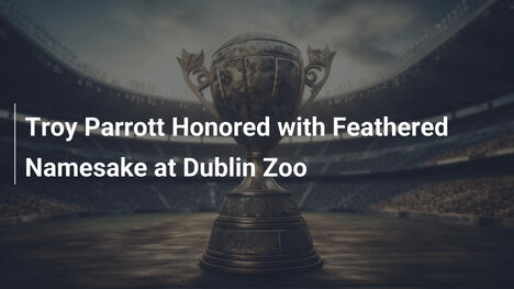 Troy Parrott Célébré par un Hommage Ailé au Zoo de Dublin