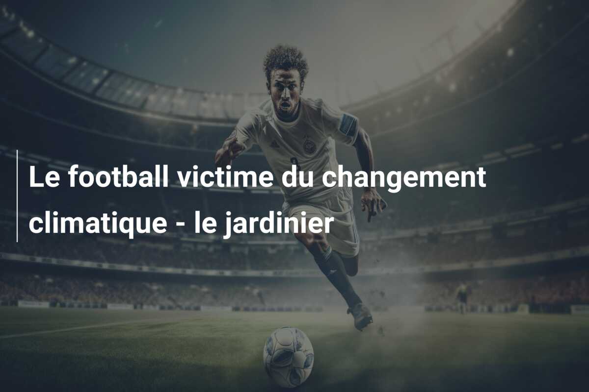 Le football victime du changement climatique – le jardinier