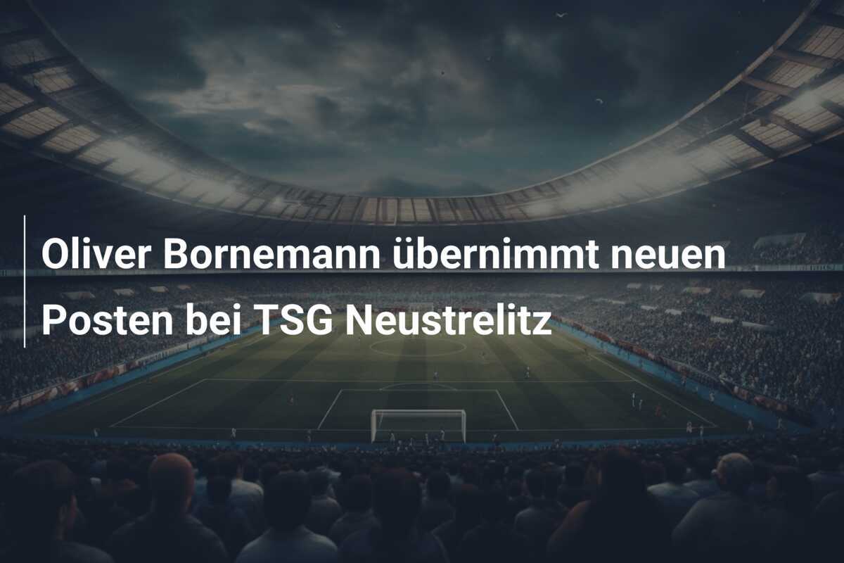 Oliver Bornemann übernimmt neuen Posten bei TSG Neustrelitz
