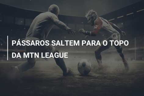 PÁSSAROS SALTEM PARA O TOPO DA MTN LEAGUE