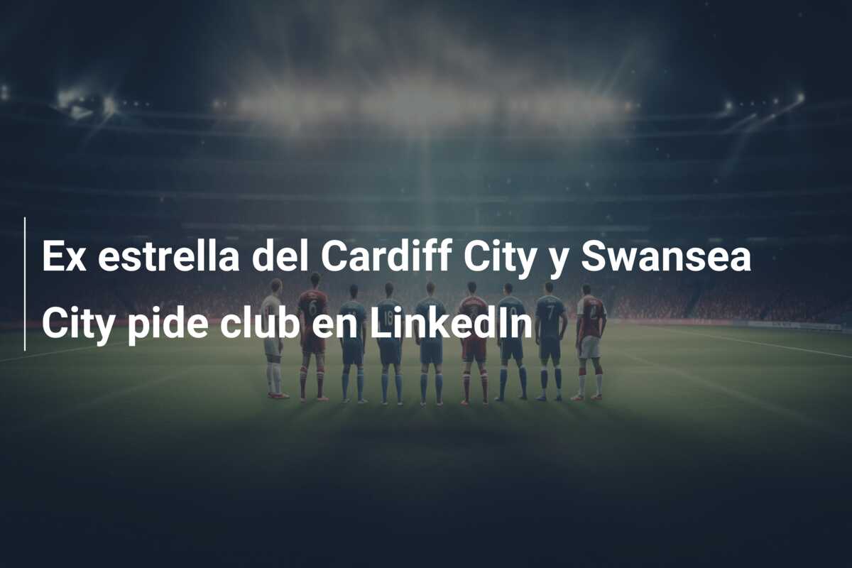Ex estrella del Cardiff City y Swansea City pide club en LinkedIn