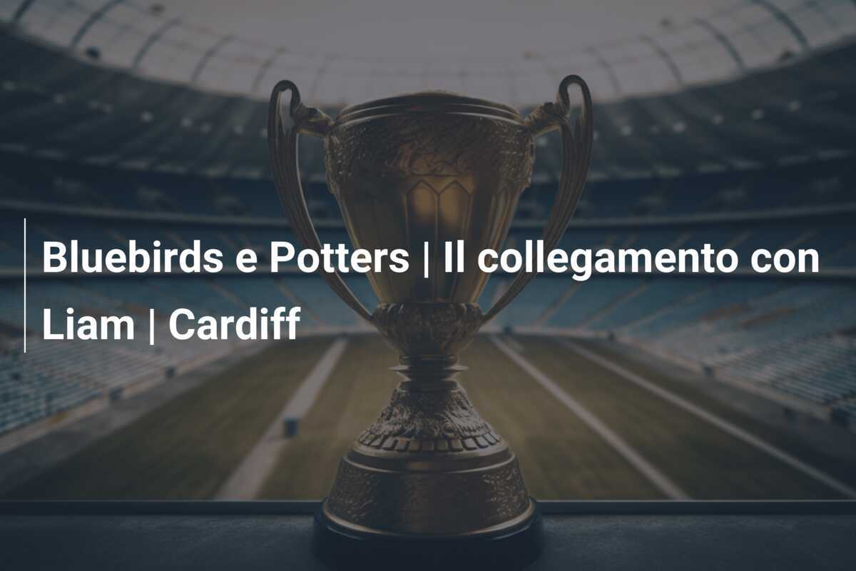 Bluebirds e Potters | Il collegamento con Liam | Cardiff