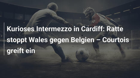 Kurioses Intermezzo in Cardiff: Ratte stoppt Wales gegen Belgien – Courtois greift ein