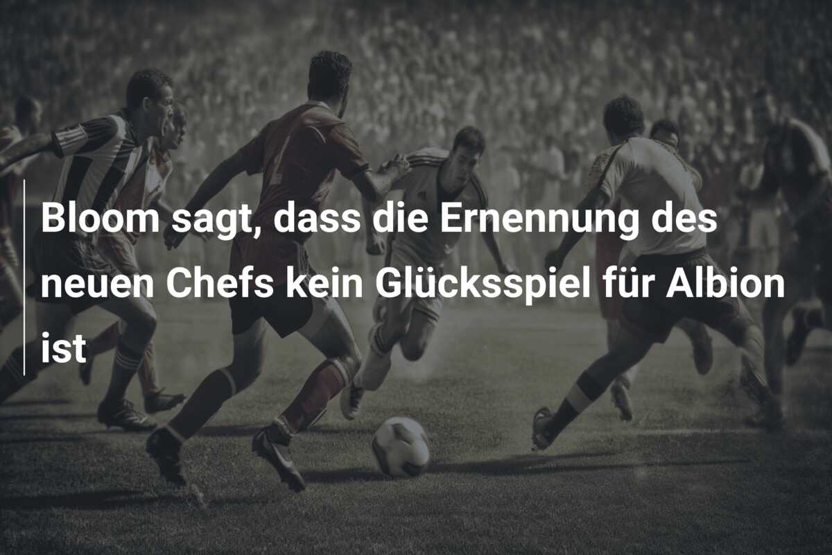 Bloom sagt, dass die Ernennung des neuen Chefs kein Glücksspiel für Albion ist