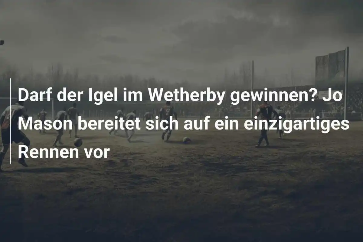 Darf der Igel im Wetherby gewinnen? Jo Mason bereitet sich auf ein einzigartiges Rennen vor