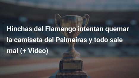 Hinchas del Flamengo intentan quemar la camiseta del Palmeiras y todo sale mal (+ Video)