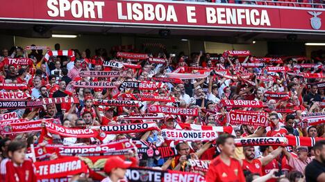 Seabra d'Arouca prêt pour le choc Benfica avec audace