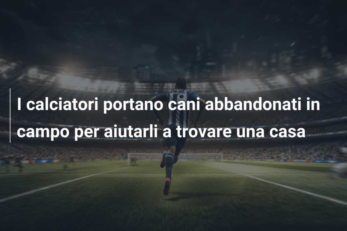 I calciatori portano cani abbandonati in campo per aiutarli a trovare una casa
