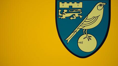 Ex-Star attackiert Knapper's Norwich-Transfers als 'Stunk'