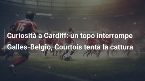 Curiosità a Cardiff: un topo interrompe Galles-Belgio, Courtois tenta la cattura