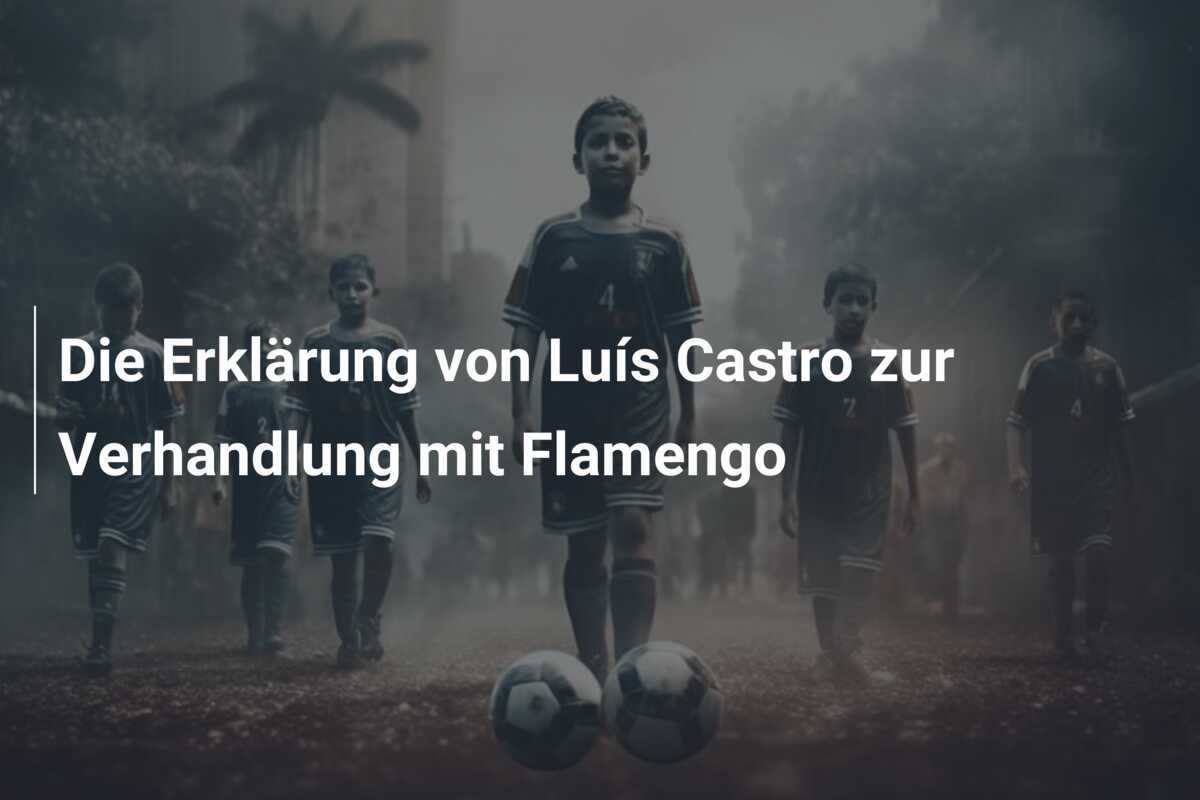 Die Erklärung von Luís Castro zur Verhandlung mit Flamengo