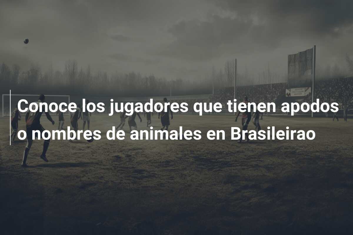 Conoce los jugadores que tienen apodos o nombres de animales en Brasileirao