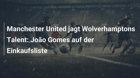 Manchester United jagt Wolverhamptons Talent: João Gomes auf der Einkaufsliste