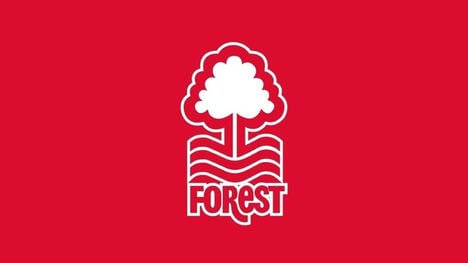 Stuart Attwell Banido de Partidas do Nottingham Forest há Dois Anos: Motivo Revelado