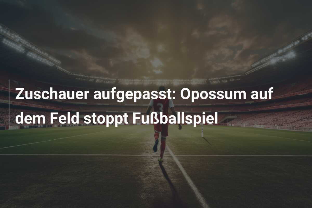 Zuschauer aufgepasst: Opossum auf dem Feld stoppt Fußballspiel