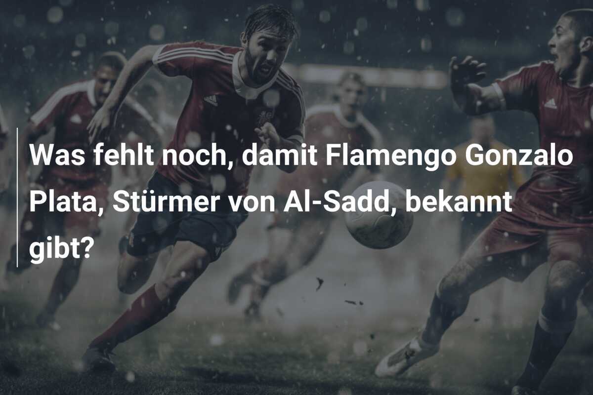Was fehlt noch, damit Flamengo Gonzalo Plata, Stürmer von Al-Sadd, bekannt gibt?