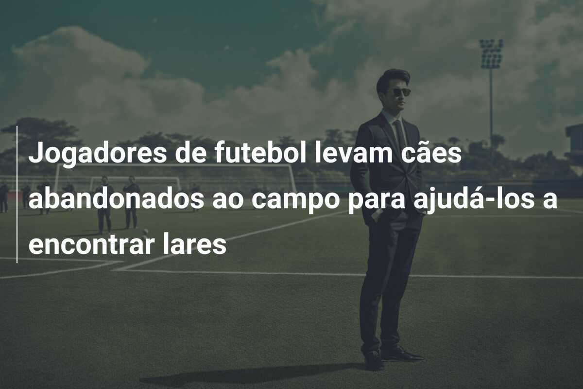 Jogadores de futebol levam cães abandonados ao campo para ajudá-los a encontrar lares