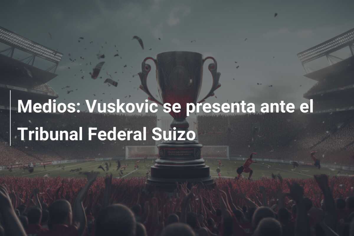 Medios: Vuskovic se presenta ante el Tribunal Federal Suizo