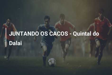 JUNTANDO OS CACOS – Quintal do Dalai