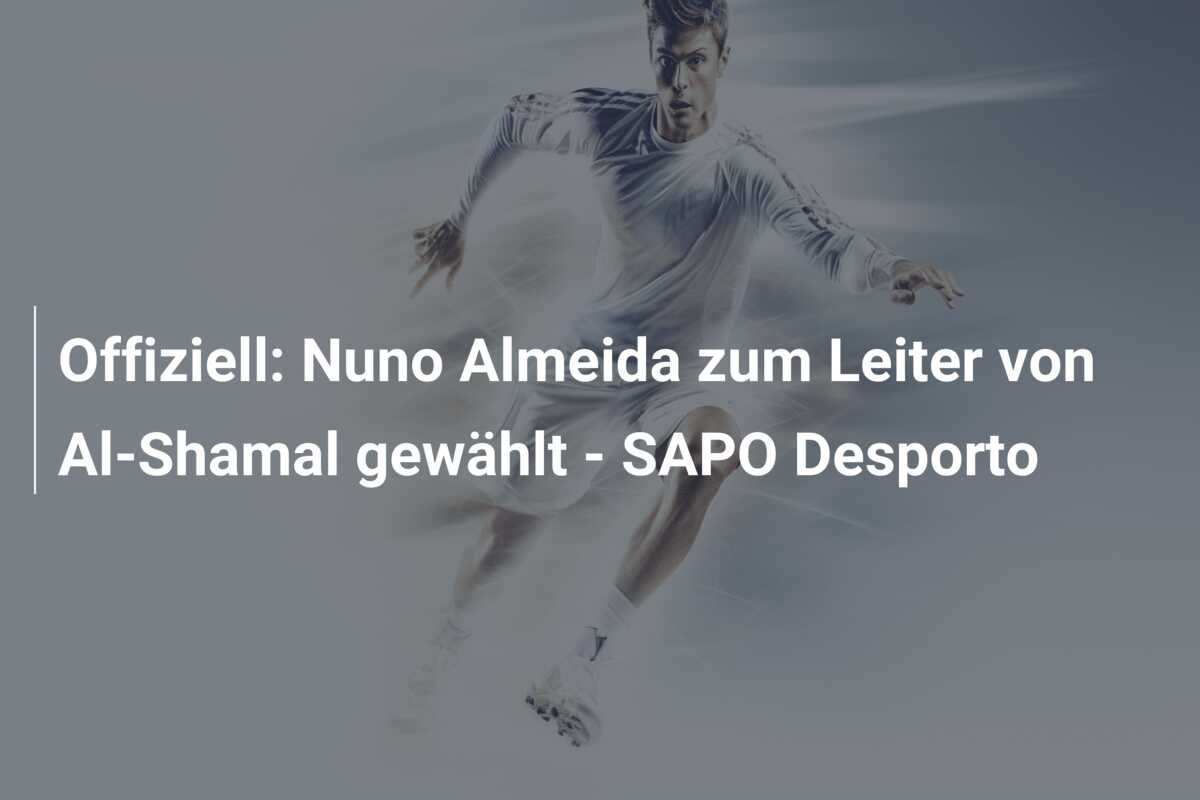 Offiziell: Nuno Almeida zum Leiter von Al-Shamal gewählt – SAPO Desporto