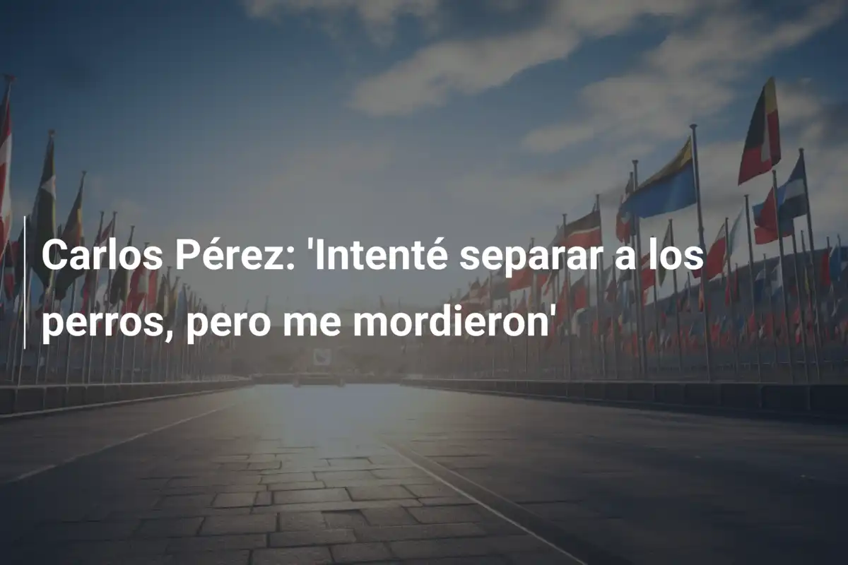 Carlos Pérez: 'Intenté separar a los perros, pero me mordieron'