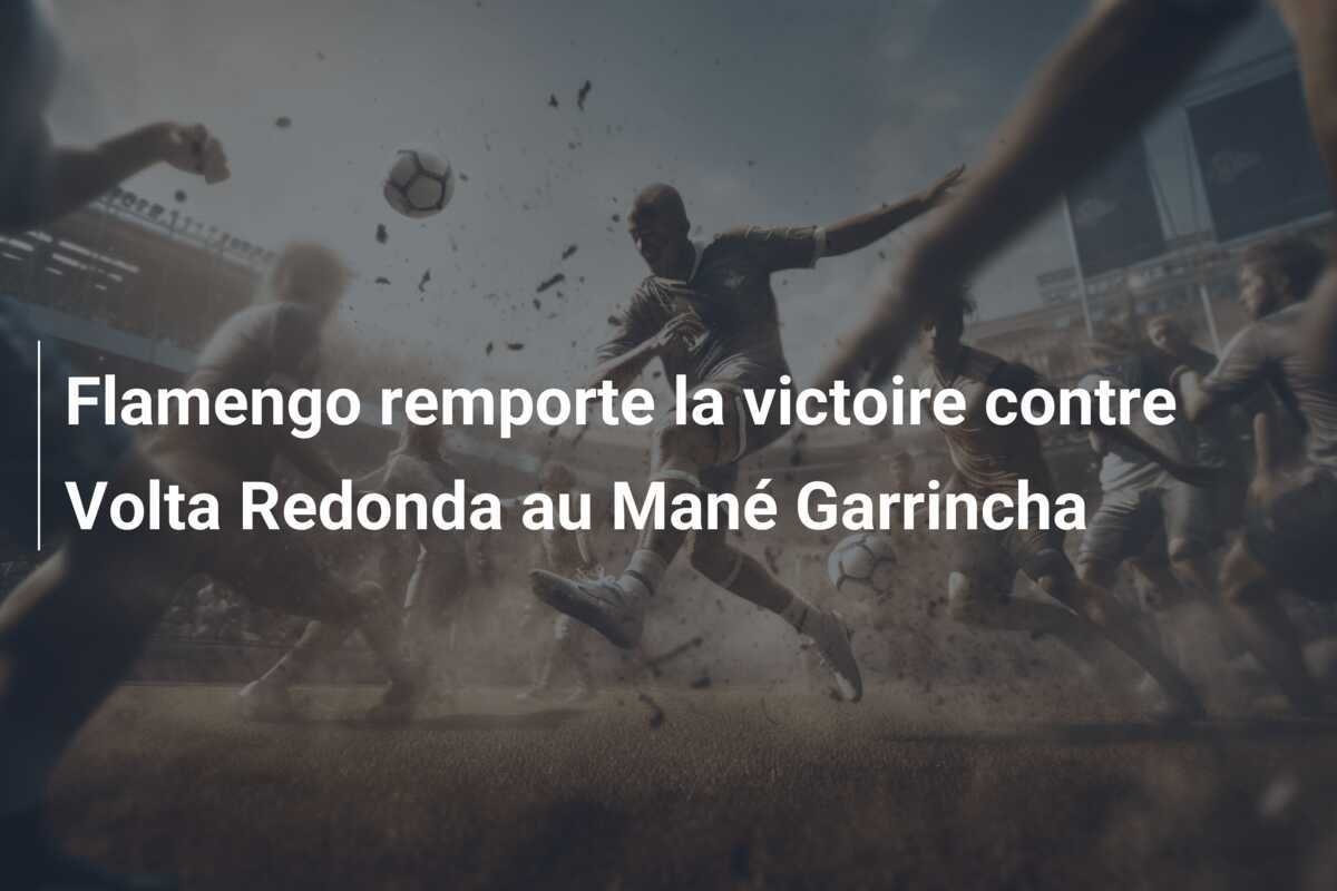 Flamengo remporte la victoire contre Volta Redonda au Mané Garrincha