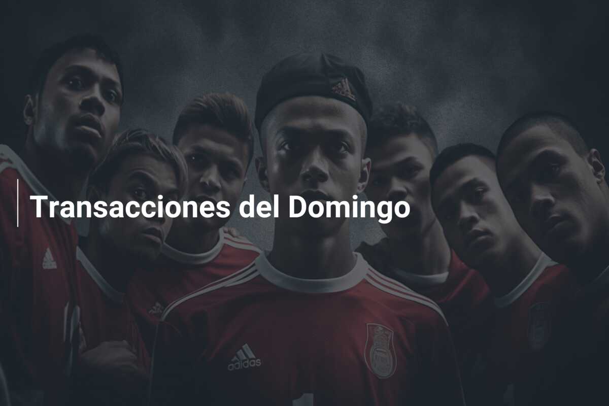Transacciones del Domingo