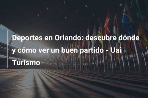 Deportes en Orlando: descubre dónde y cómo ver un buen partido – Uai Turismo