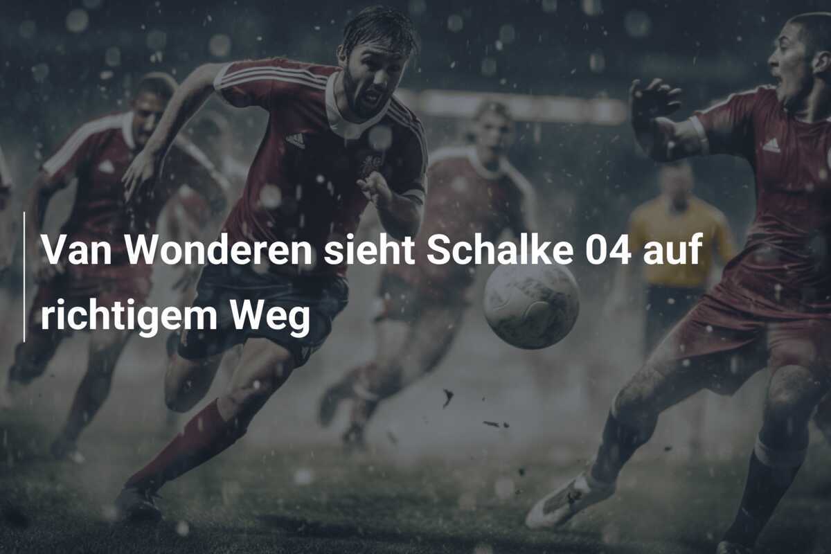 Van Wonderen sieht Schalke 04 auf richtigem Weg