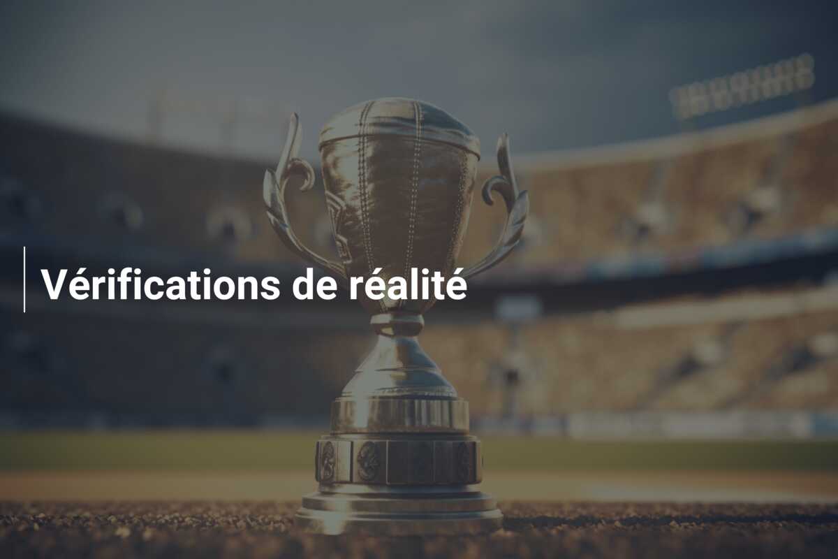 Vérifications de réalité