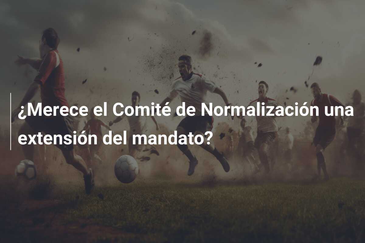 ¿Merece el Comité de Normalización una extensión del mandato?