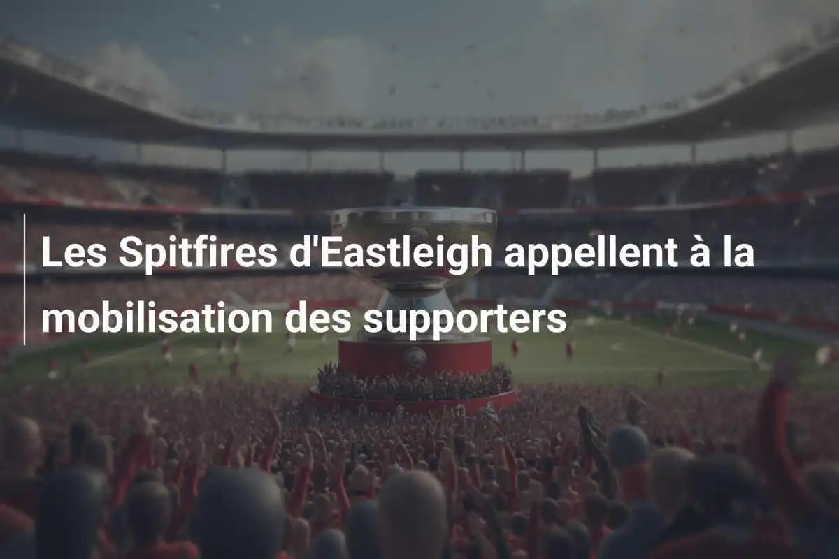 Les Spitfires d'Eastleigh appellent à la mobilisation des supporters