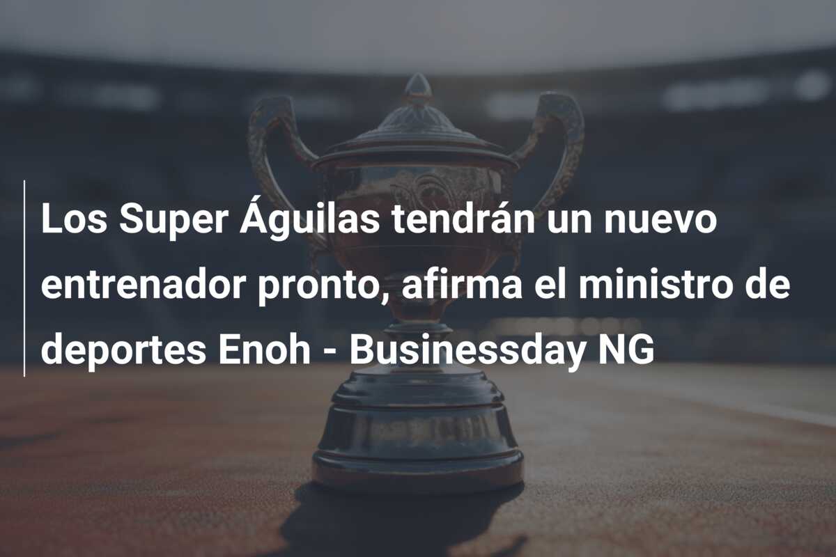 Los Super Águilas tendrán un nuevo entrenador pronto, afirma el ministro de deportes Enoh – Businessday NG